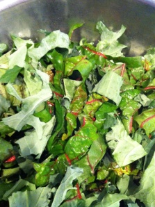 Organic Swiss chard and kale from Martha's vegetable greenhouse. 